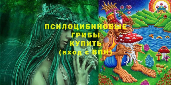 МДПВ Красноперекопск