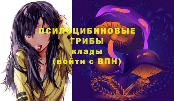 jwh Краснослободск